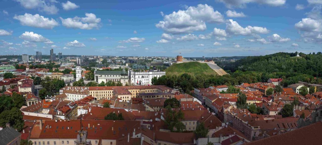 types of companies in Lithuania
