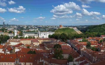 types of companies in Lithuania